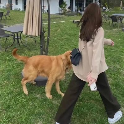 双旗镇刀客